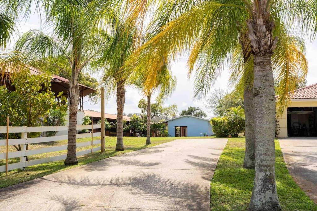 ターポン・スプリングスTampa Bay Oasisアパートメント エクステリア 写真