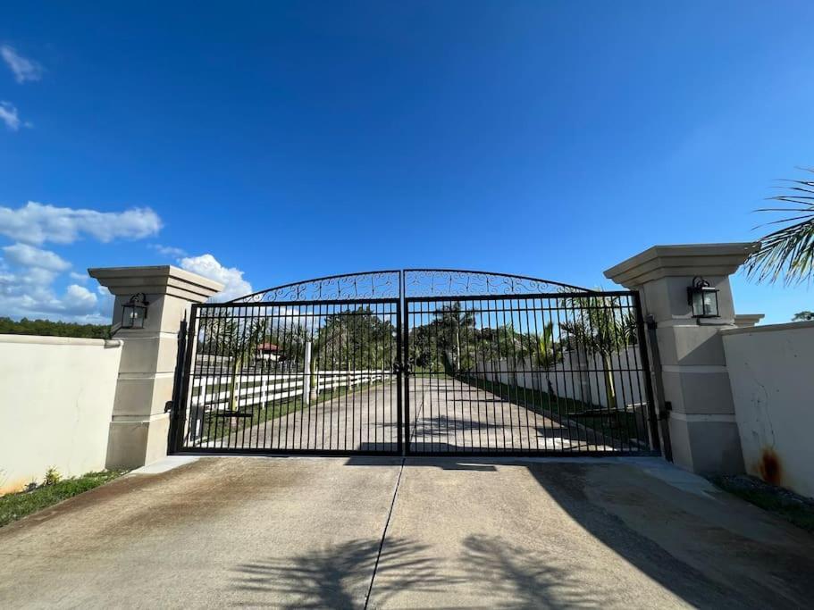 ターポン・スプリングスTampa Bay Oasisアパートメント エクステリア 写真